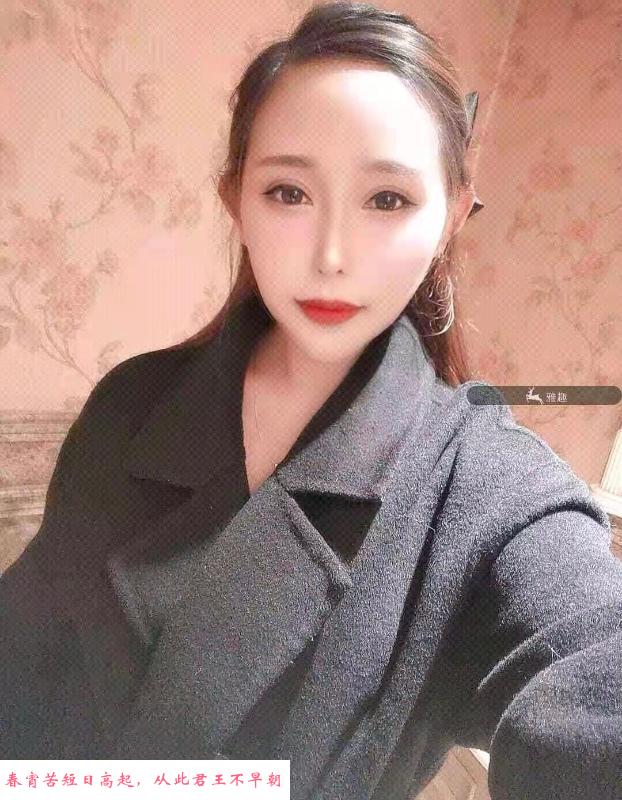 动物美容师兼职 第1张