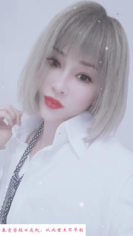 河北区小白兔 第1张