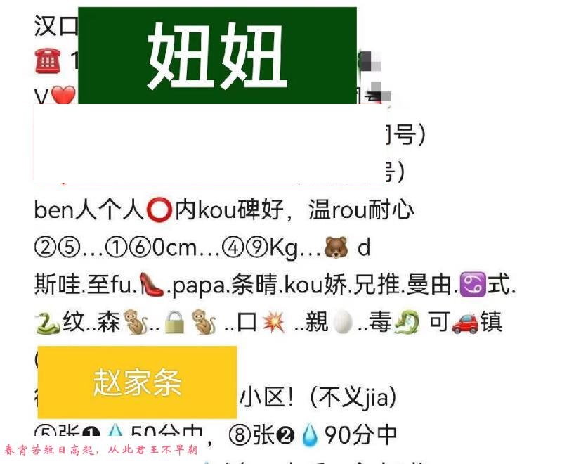 赵家条妞妞服务 第1张