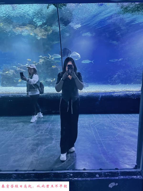 沈阳可以sm的母狗 第3张