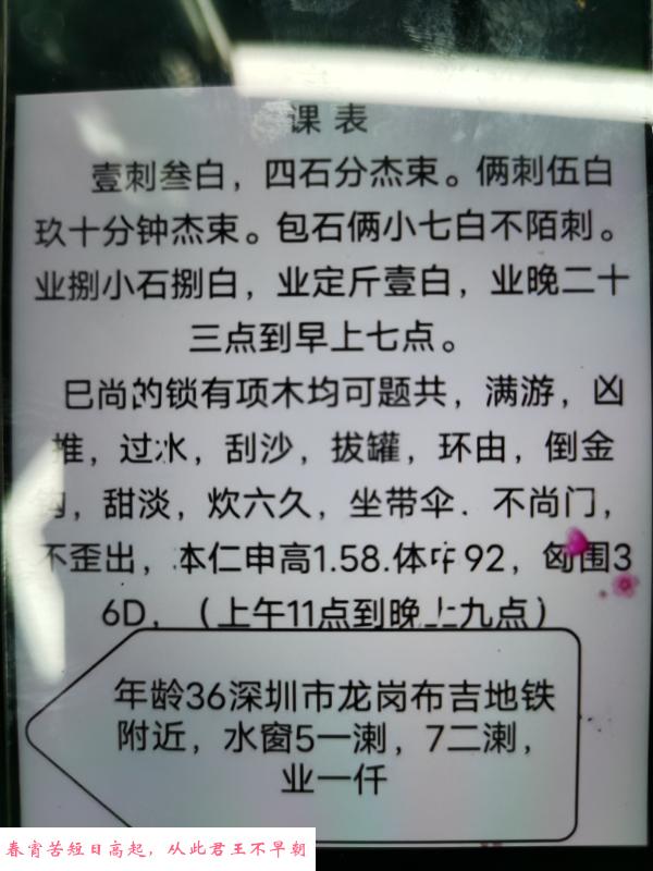布吉性价比熟女 第2张