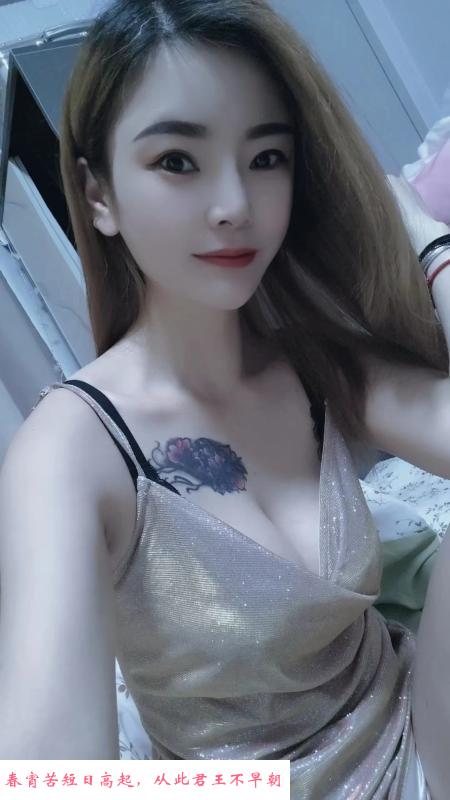 固戍小猫咪 第3张