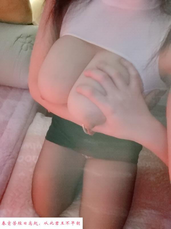 南山大奶兔 第2张