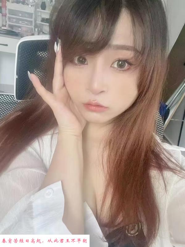 上城兔子 第1张