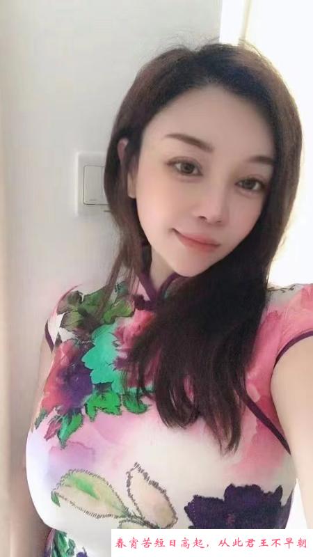 宝安翻身小肥猫 第1张