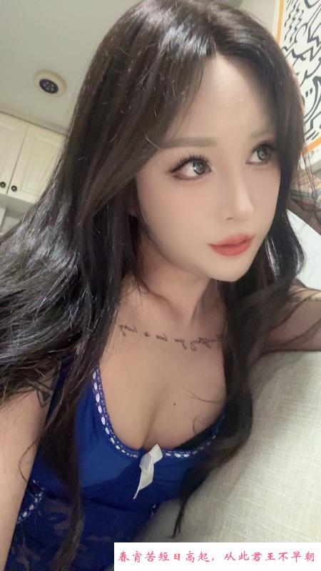 大连ts丽丽 第2张