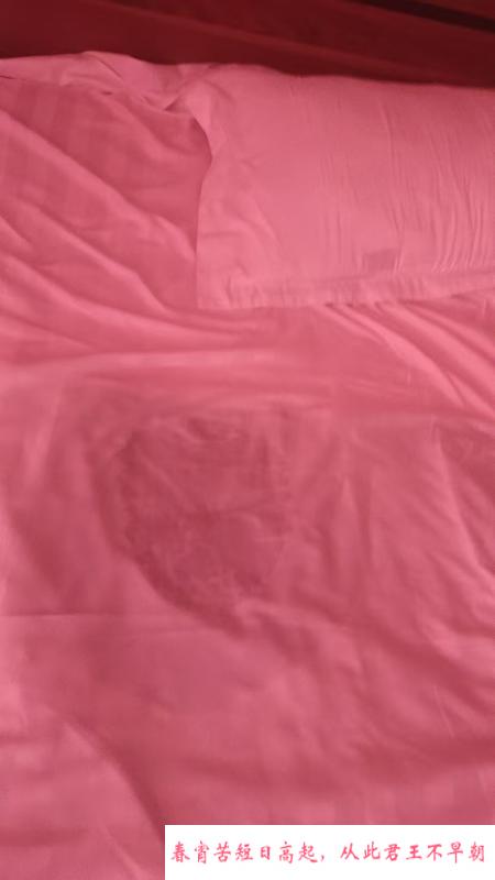 天然大奶老师 第2张